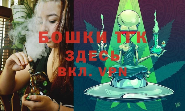 прущая мука Ельня
