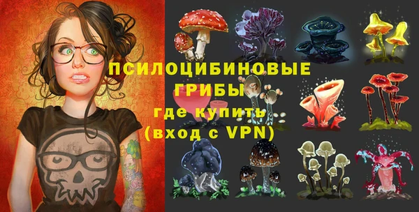 прущие крисы Елабуга