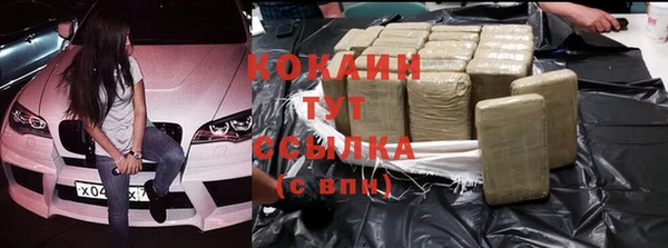 прущая мука Ельня