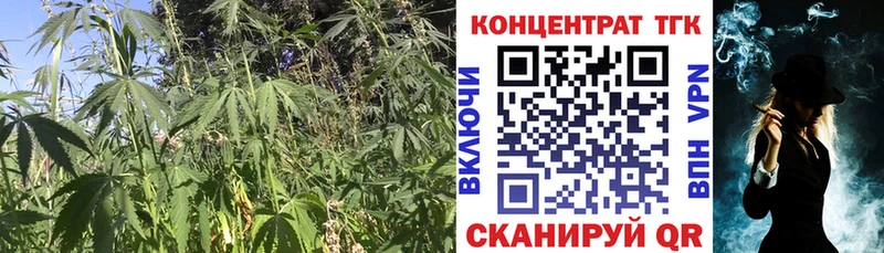 ТГК вейп  Купить где  Нефтеюганск 