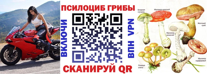 Купить где  Нефтеюганск  Псилоцибиновые грибы мухоморы 